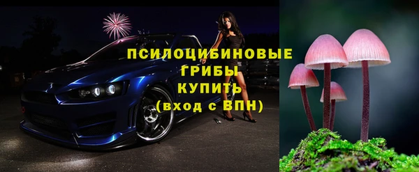 МДПВ Болохово