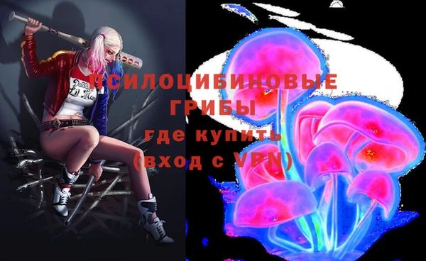 эйфоретик Алексин