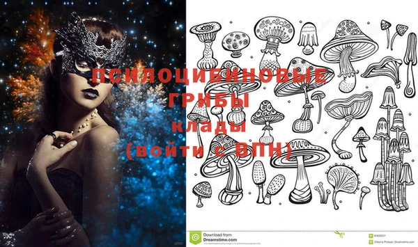 спайс Болхов