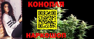 mdma Сланцы
