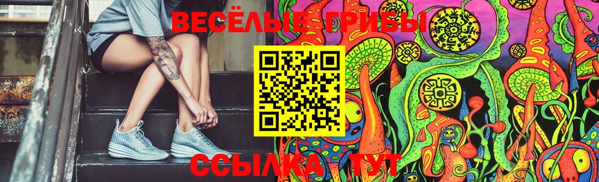 Галлюциногенные грибы мицелий Алексин